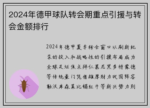 2024年德甲球队转会期重点引援与转会金额排行